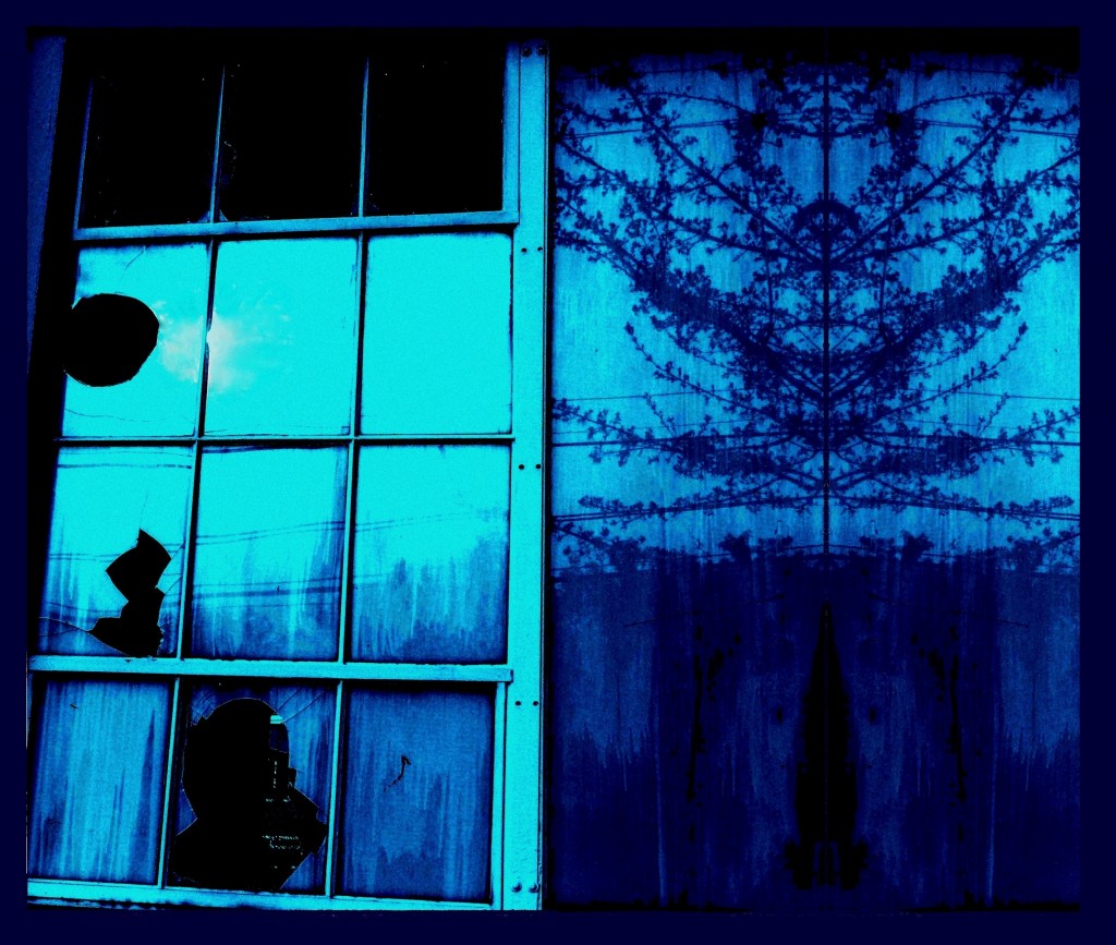 Blue Window by Carrie Albert